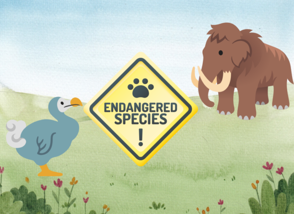 Copy of Copy of Website image - internet free